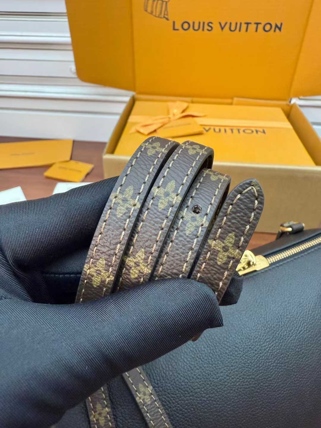 Louis Vuitton Express Bag view 7