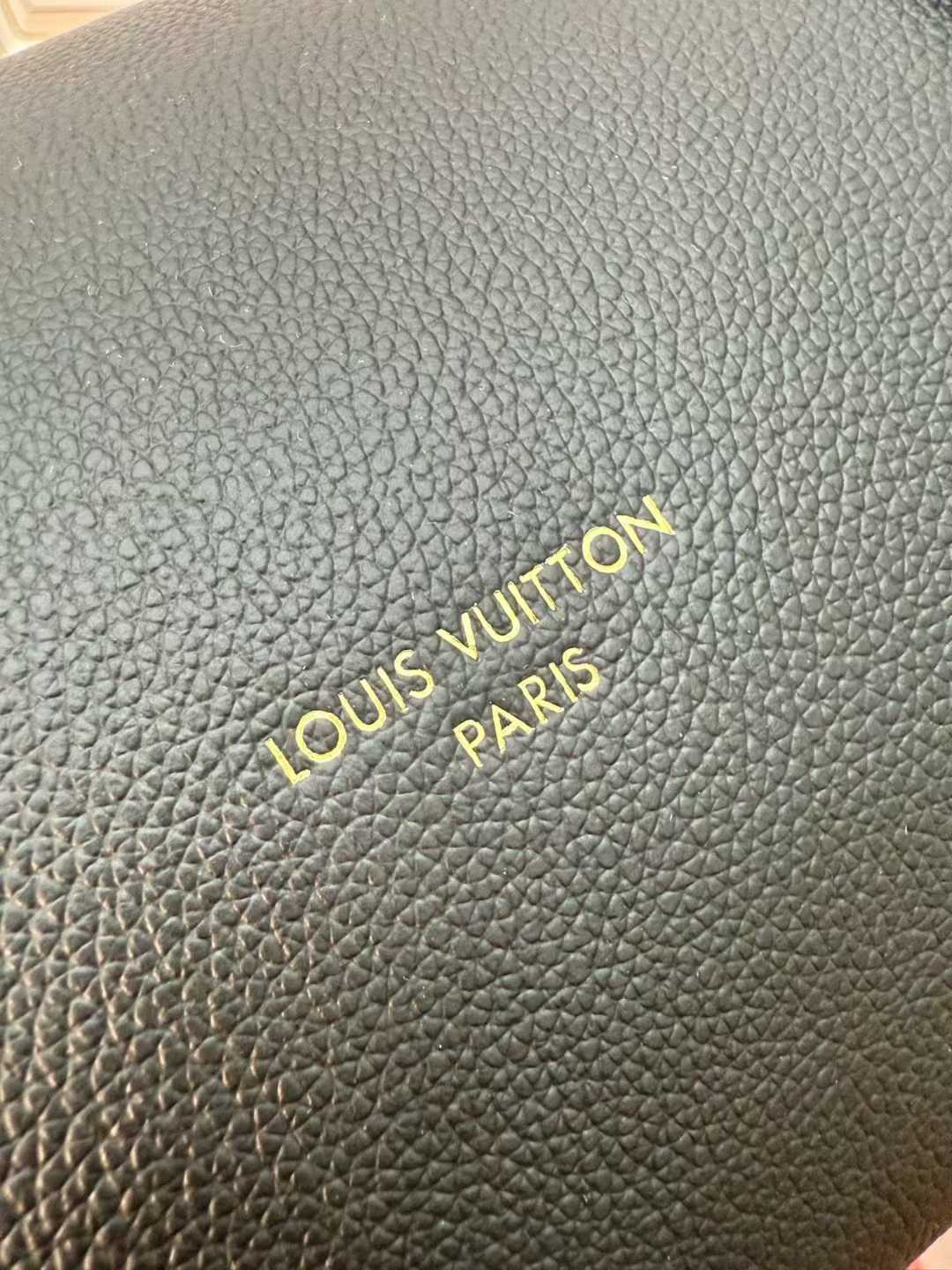 Louis Vuitton Express Bag view 9
