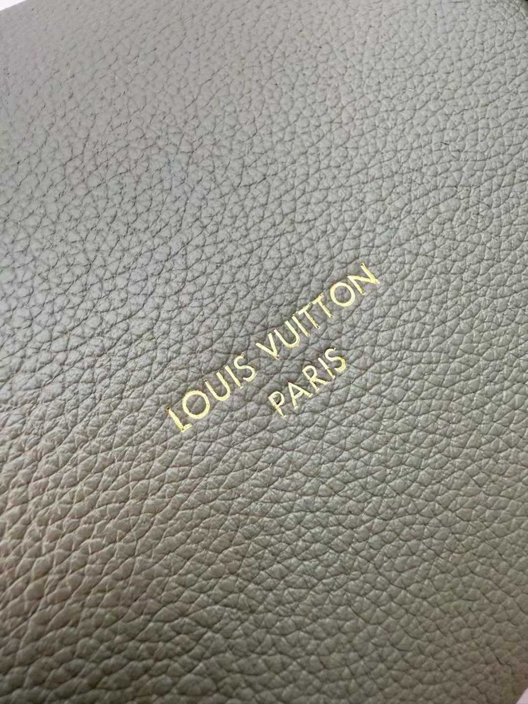 Louis Vuitton Express Bag view 4