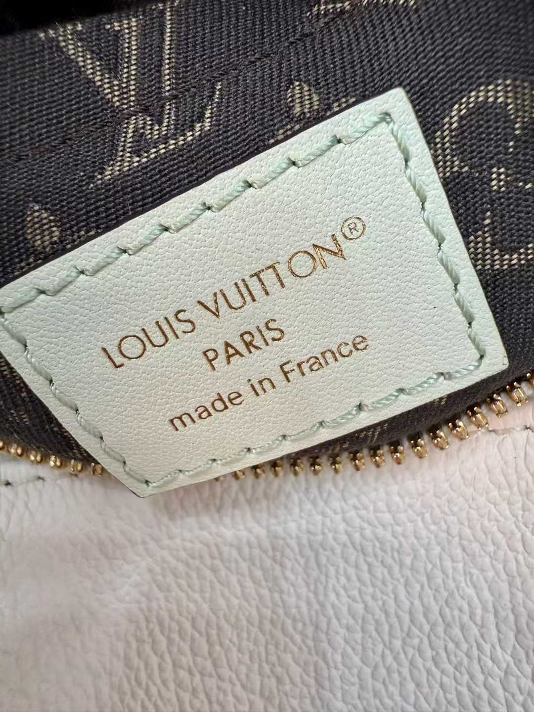 Louis Vuitton Express Bag view 2