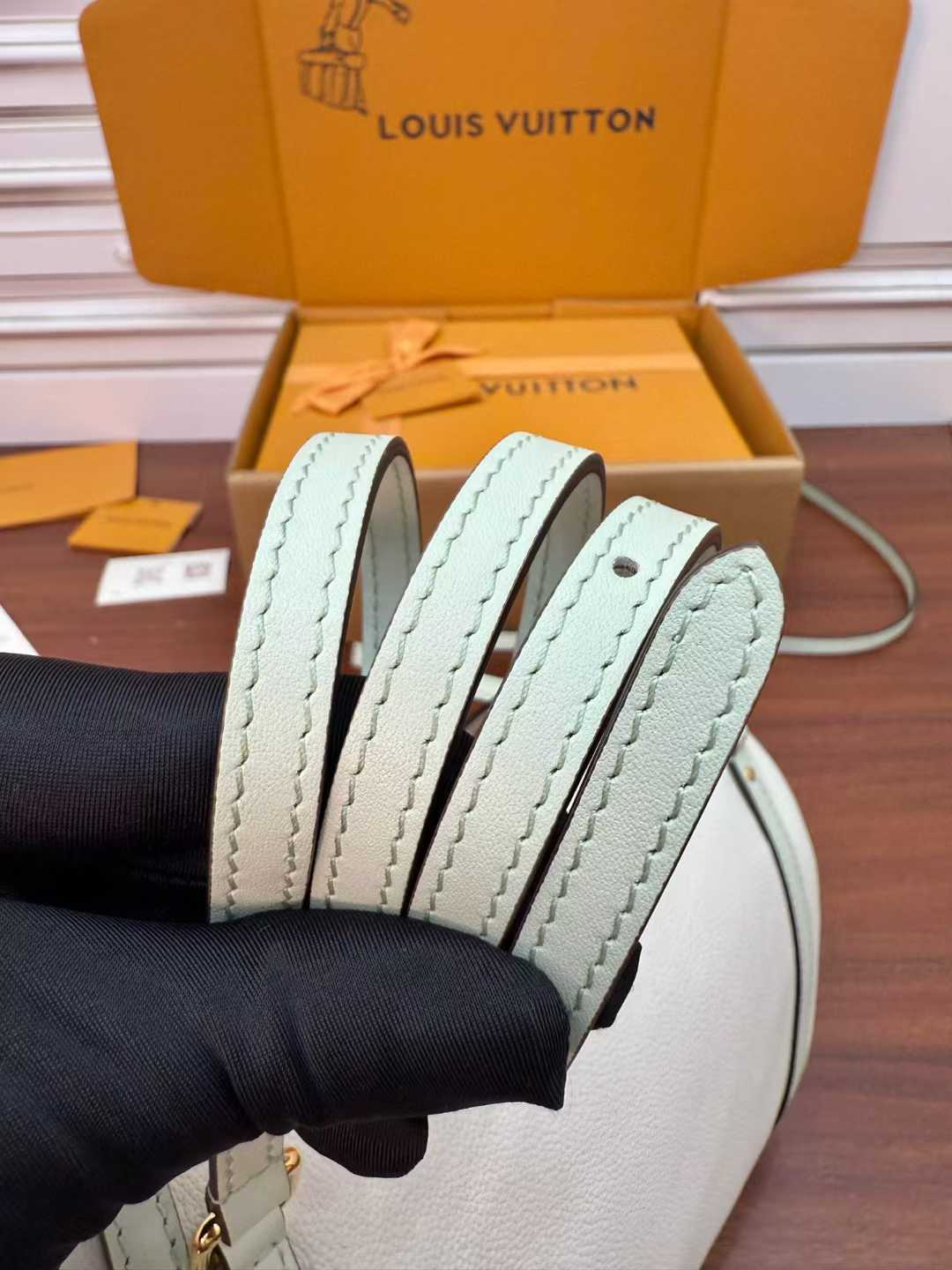 Louis Vuitton Express Bag view 5