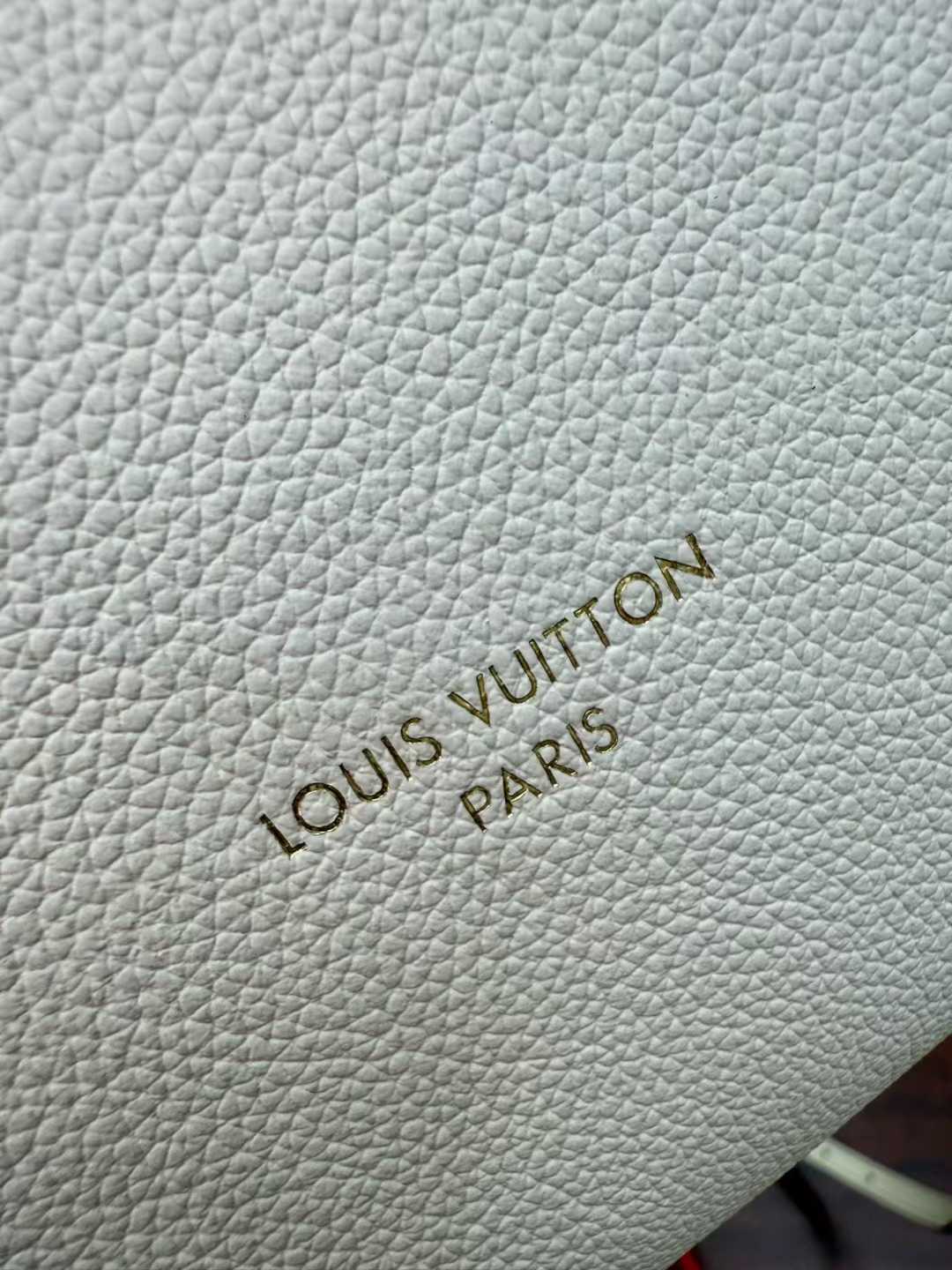 Louis Vuitton Express Bag view 6