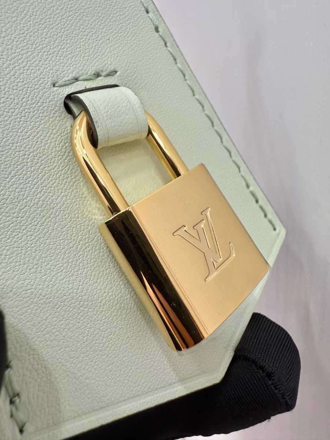 Louis Vuitton Express Bag view 8