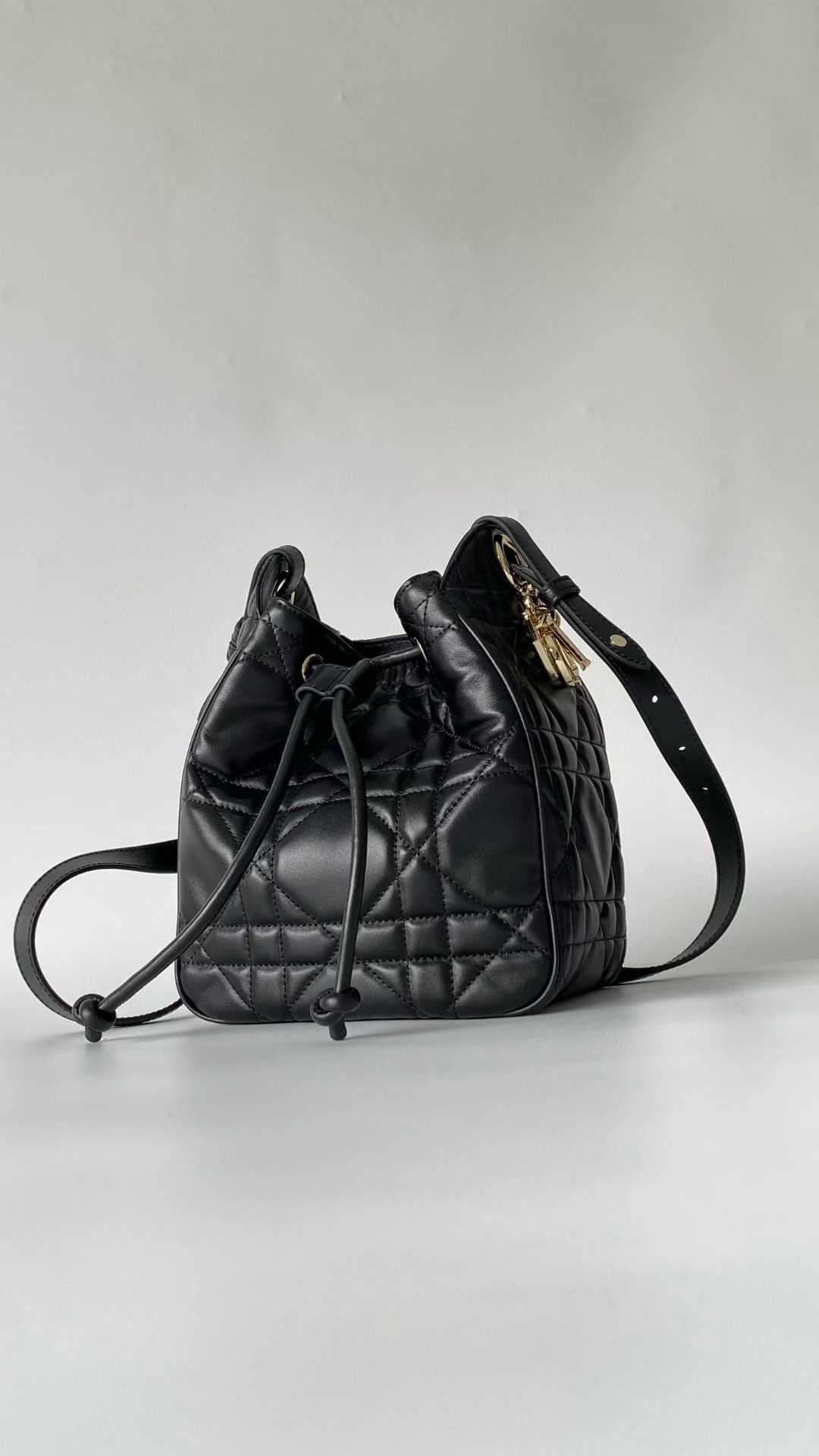 Dior D-Motion Bag view 1