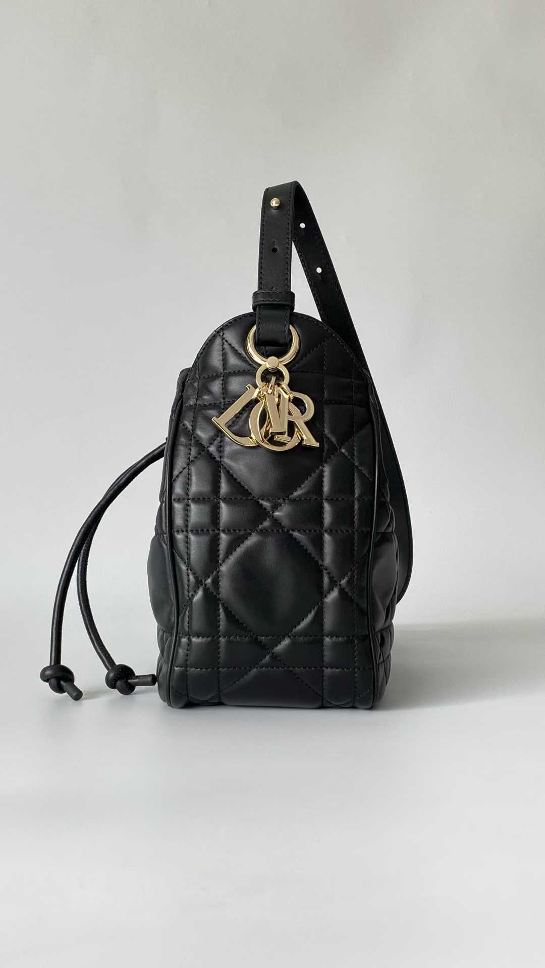 Dior D-Motion Bag view 2