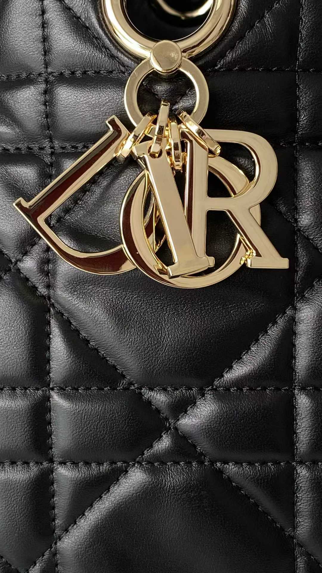 Dior D-Motion Bag view 4