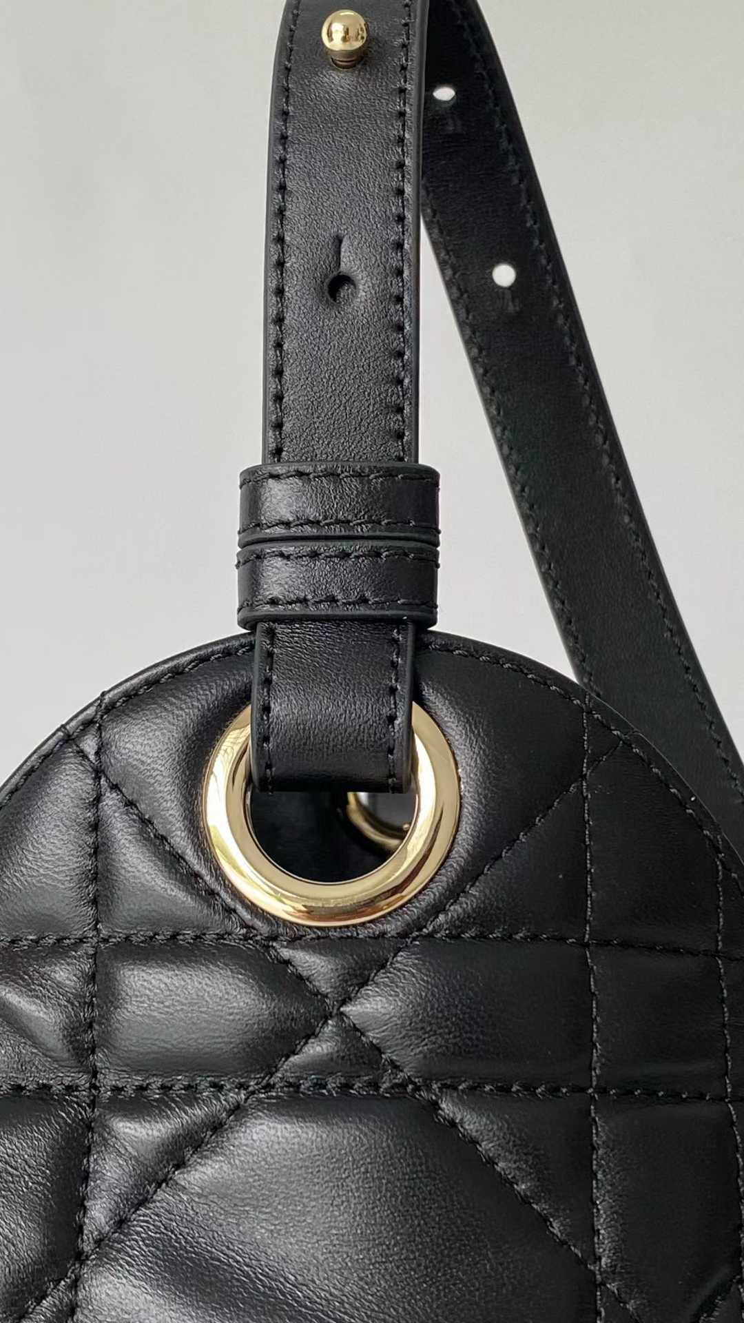 Dior D-Motion Bag view 5