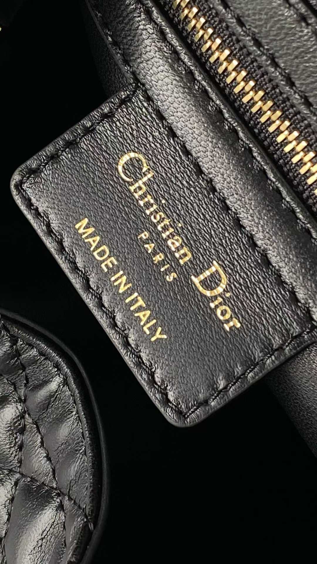 Dior D-Motion Bag view 8