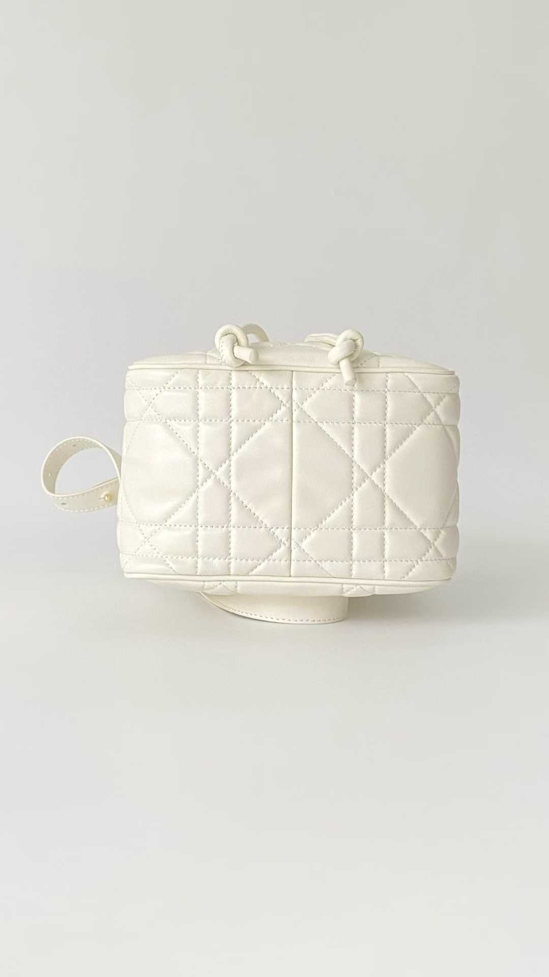 Dior D-Motion Bag view 4
