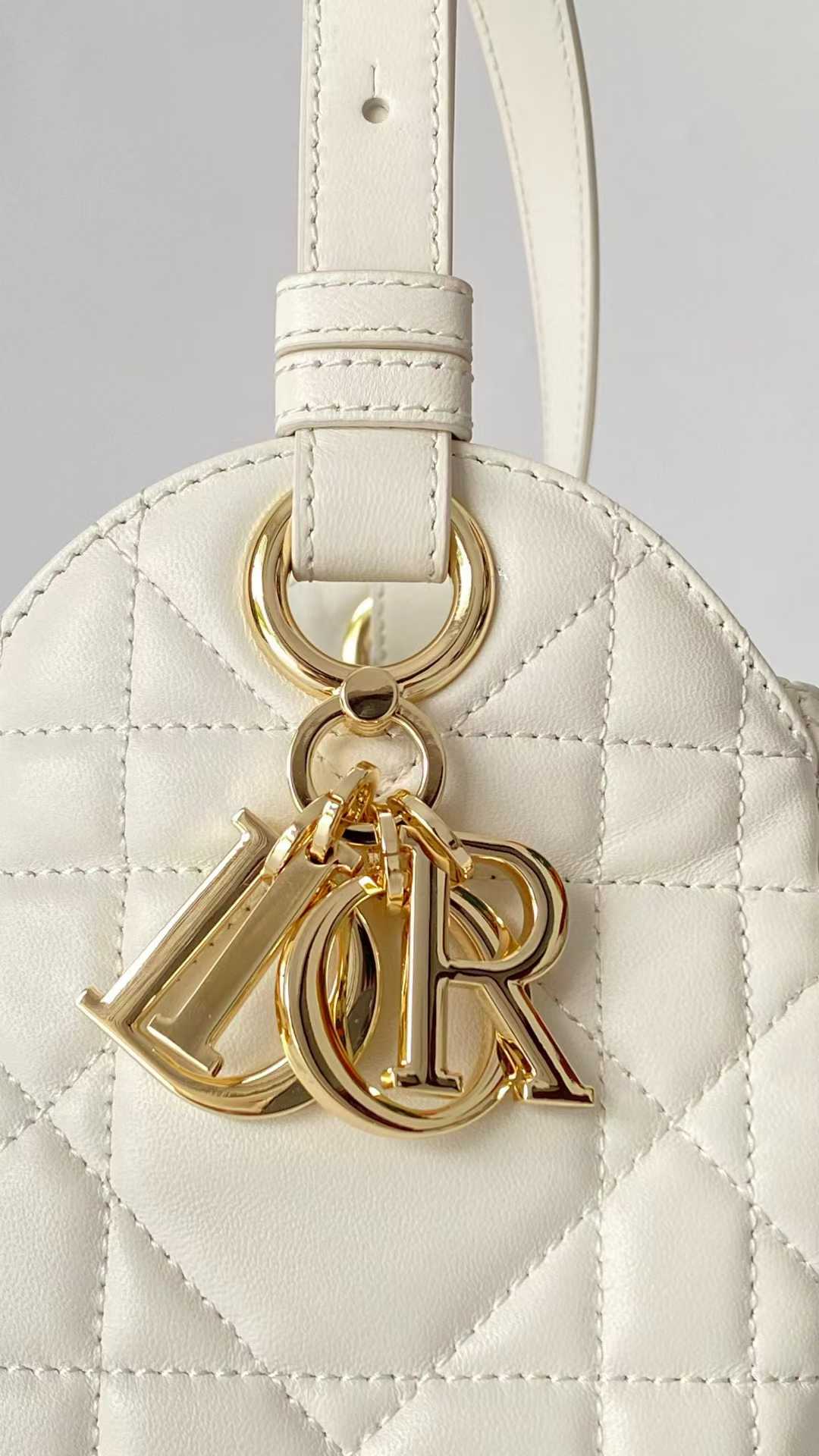 Dior D-Motion Bag view 5
