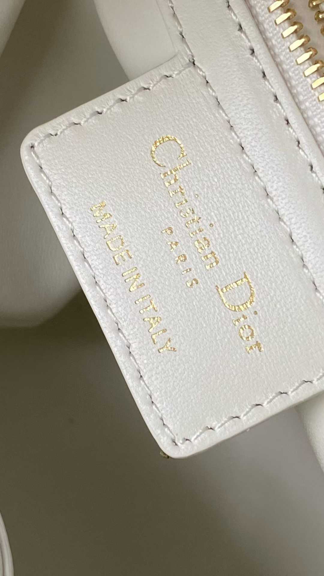 Dior D-Motion Bag view 6