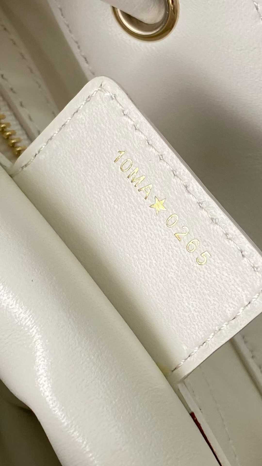 Dior D-Motion Bag view 8