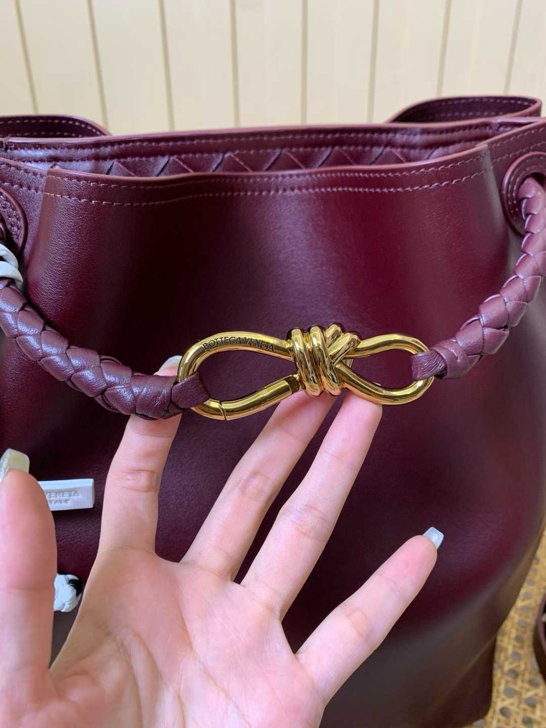 Bottega Veneta Andiamo Bucket view 3