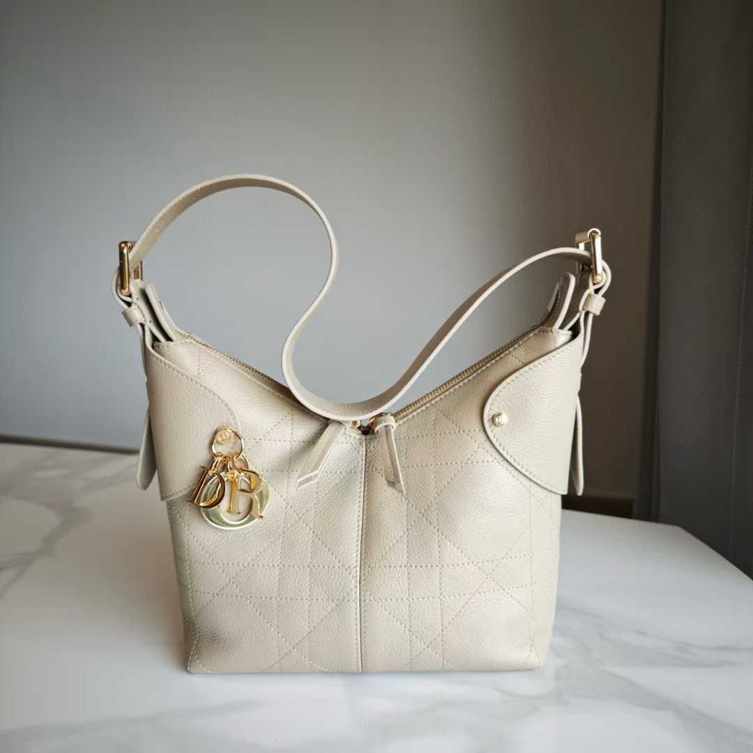 Dior Voyage Bag view 1