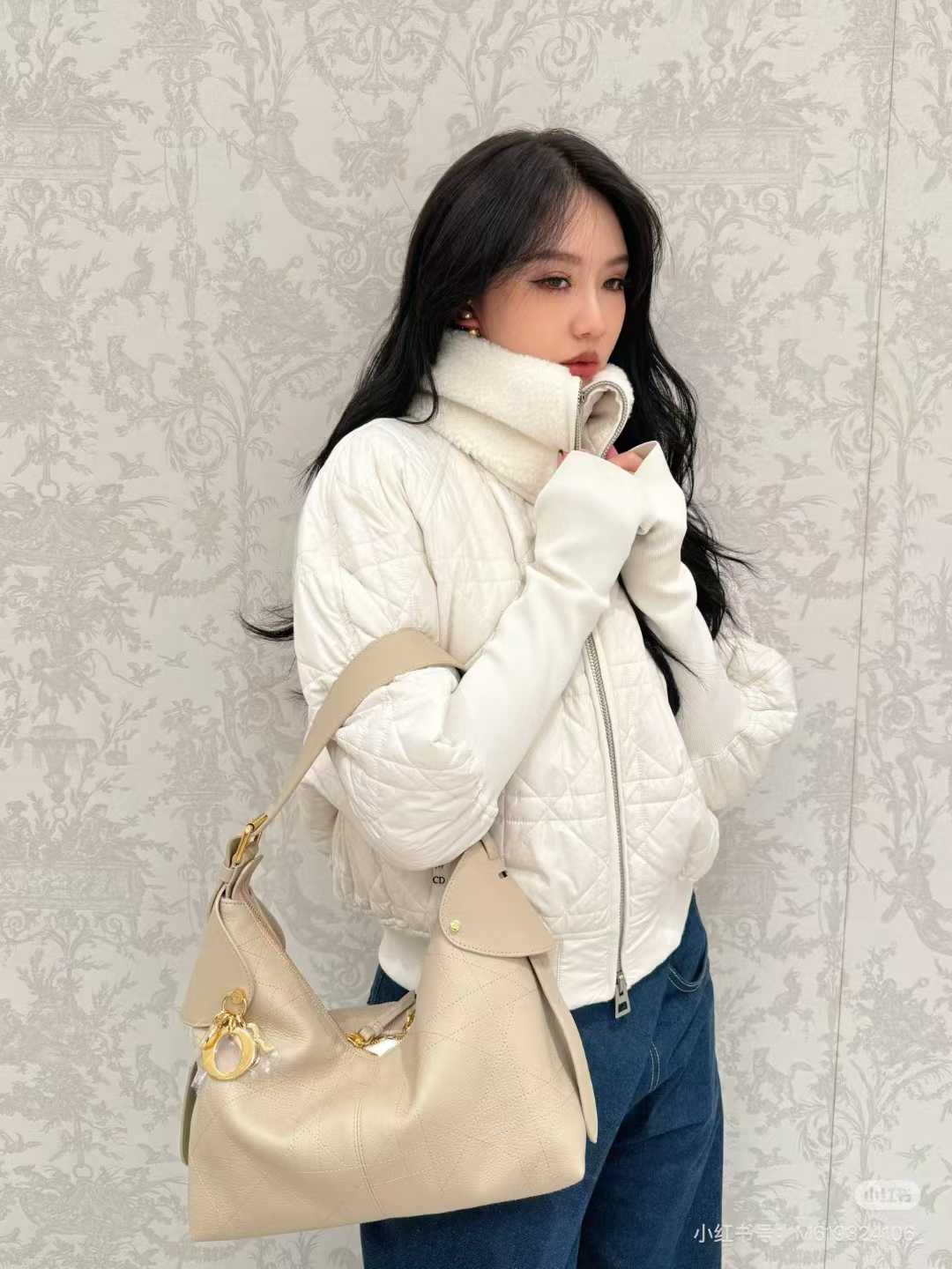 Dior Voyage Bag view 9