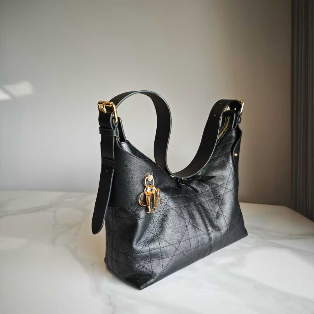 Dior Voyage Bag view 3