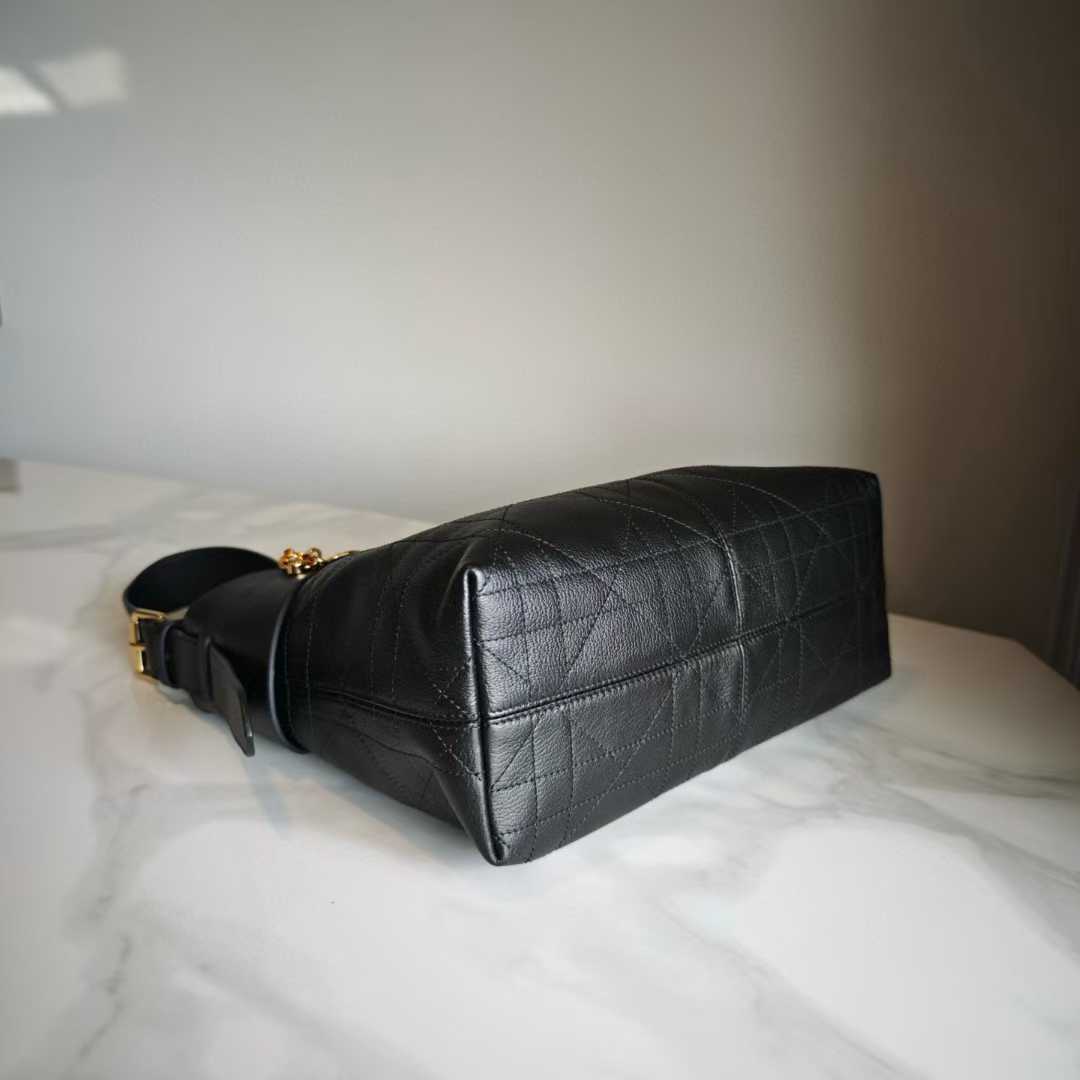 Dior Voyage Bag view 4