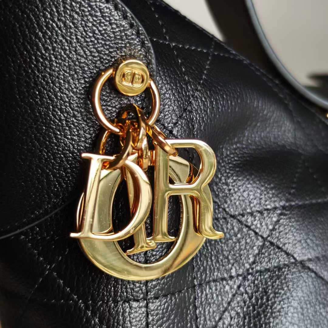 Dior Voyage Bag view 5