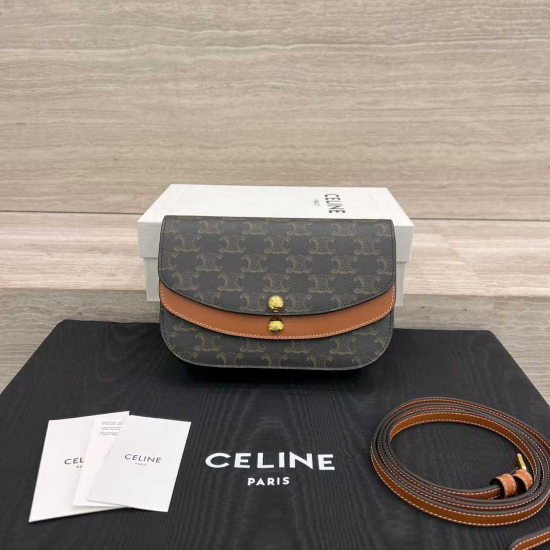 Celine DUO WALLET ON STRAP IN Triomphe Canvas and Calfskin view 1