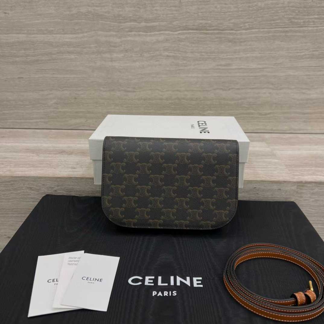 Celine DUO WALLET ON STRAP IN Triomphe Canvas and Calfskin view 2