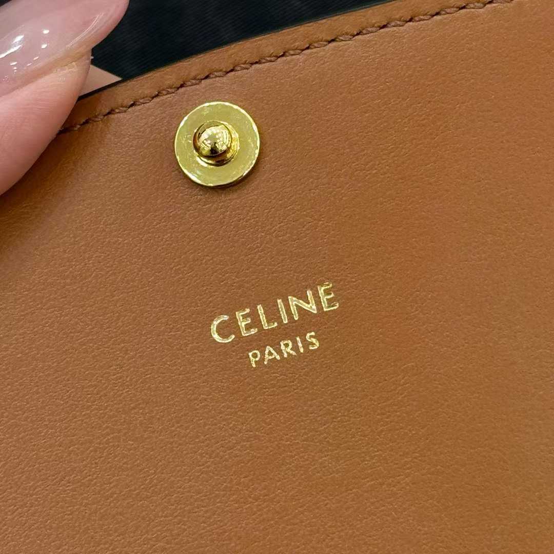 Celine DUO WALLET ON STRAP IN Triomphe Canvas and Calfskin view 5
