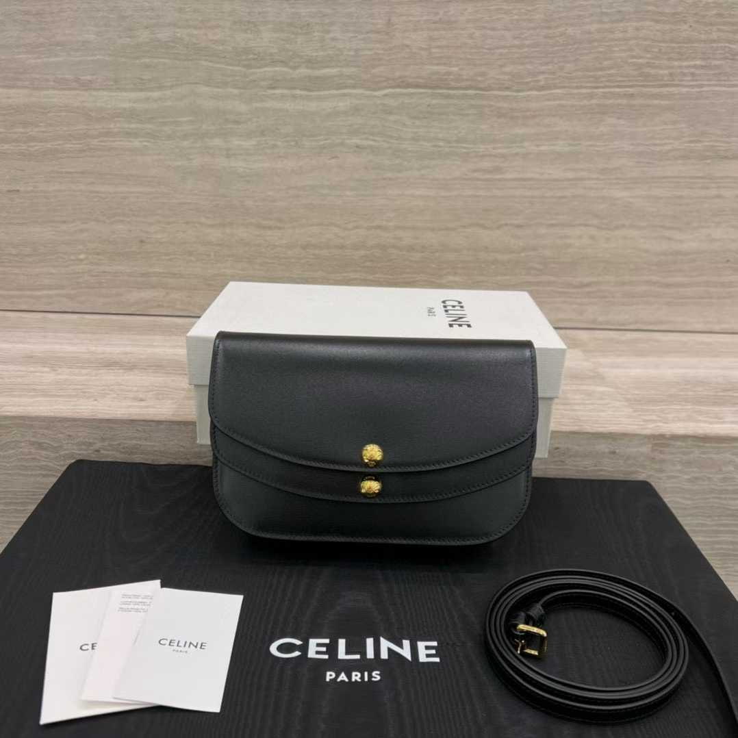 Celine DUO WALLET ON STRAP IN Triomphe Canvas and Calfskin view 1