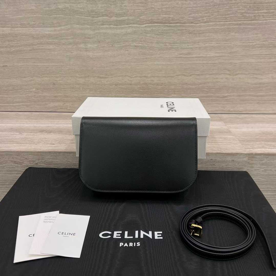 Celine DUO WALLET ON STRAP IN Triomphe Canvas and Calfskin view 2