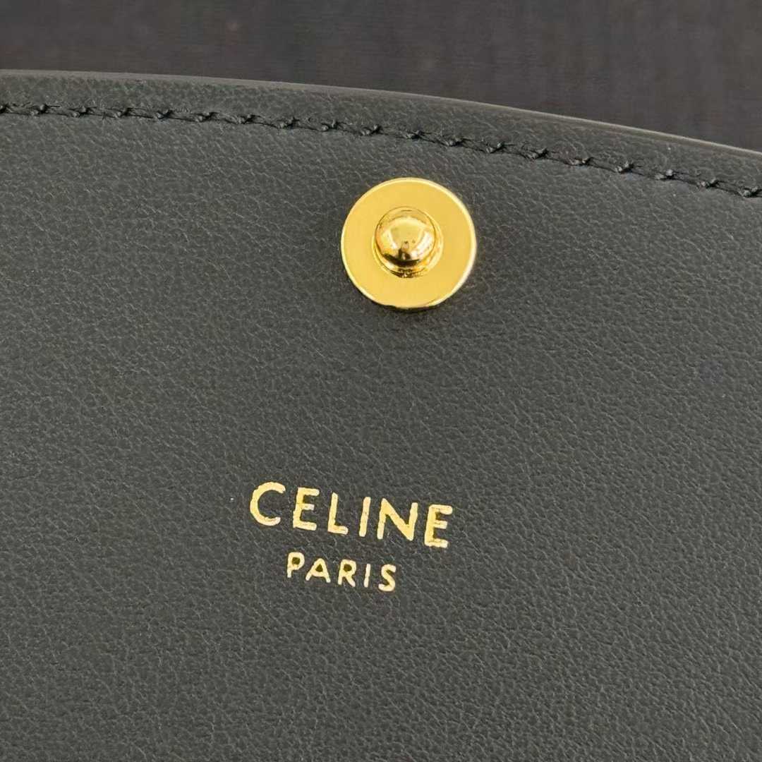 Celine DUO WALLET ON STRAP IN Triomphe Canvas and Calfskin view 5