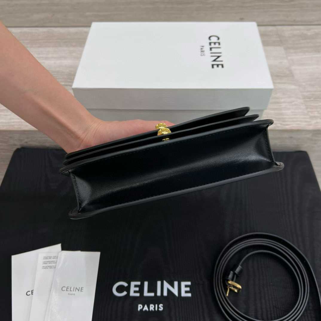Celine DUO WALLET ON STRAP IN Triomphe Canvas and Calfskin view 8