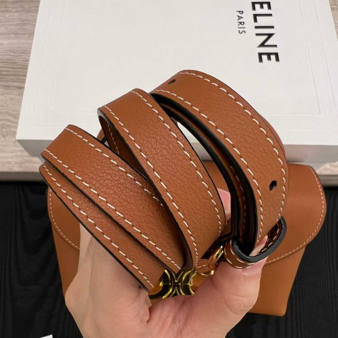 Celine Medium Nino Bag In Supple Grained Calfskin view 8