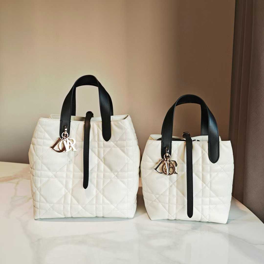 Dior Toujours Vertical Tote Bag view 2