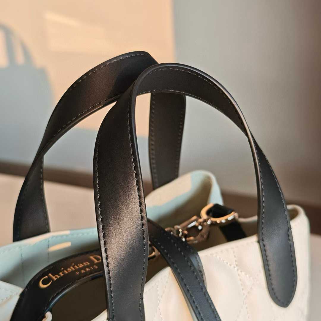 Dior Toujours Vertical Tote Bag view 5