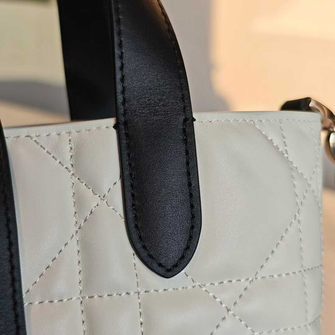 Dior Toujours Vertical Tote Bag view 7