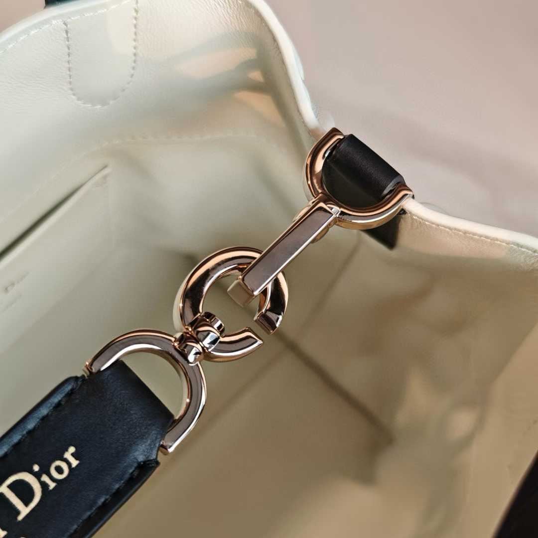 Dior Toujours Vertical Tote Bag view 8