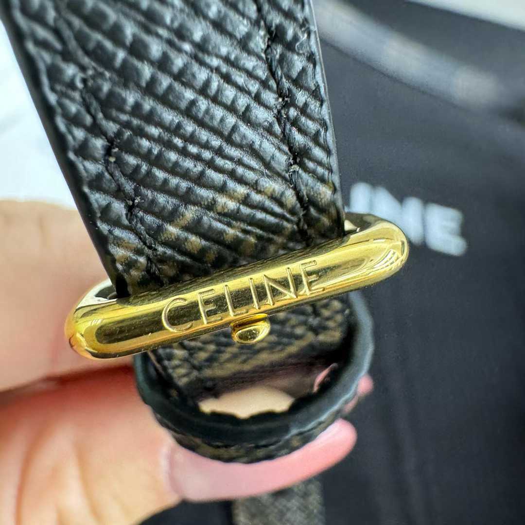 Celine TINA SHOULDER BAG IN Triomphe canvas view 5