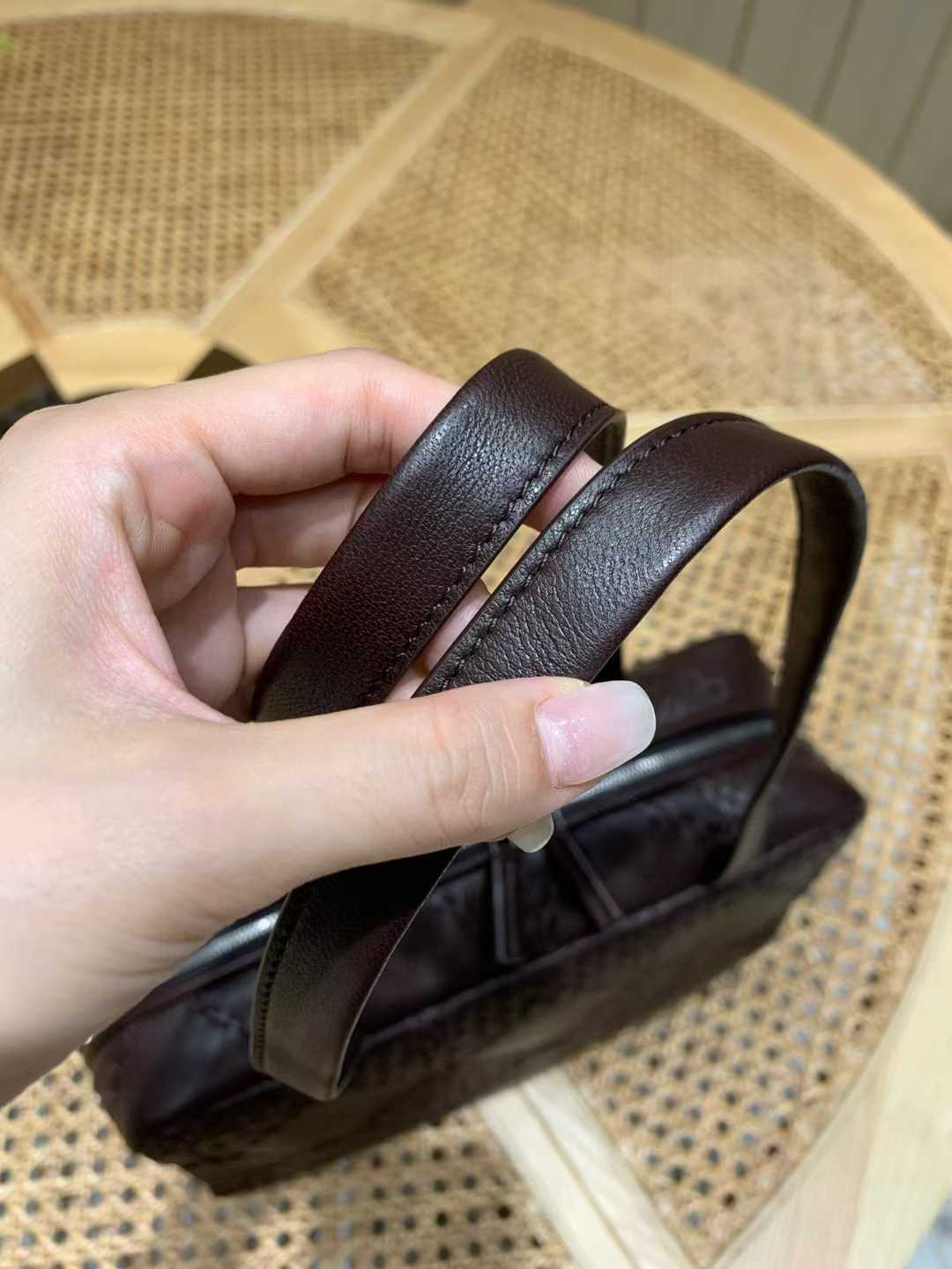 The Row Astra Bag view 3