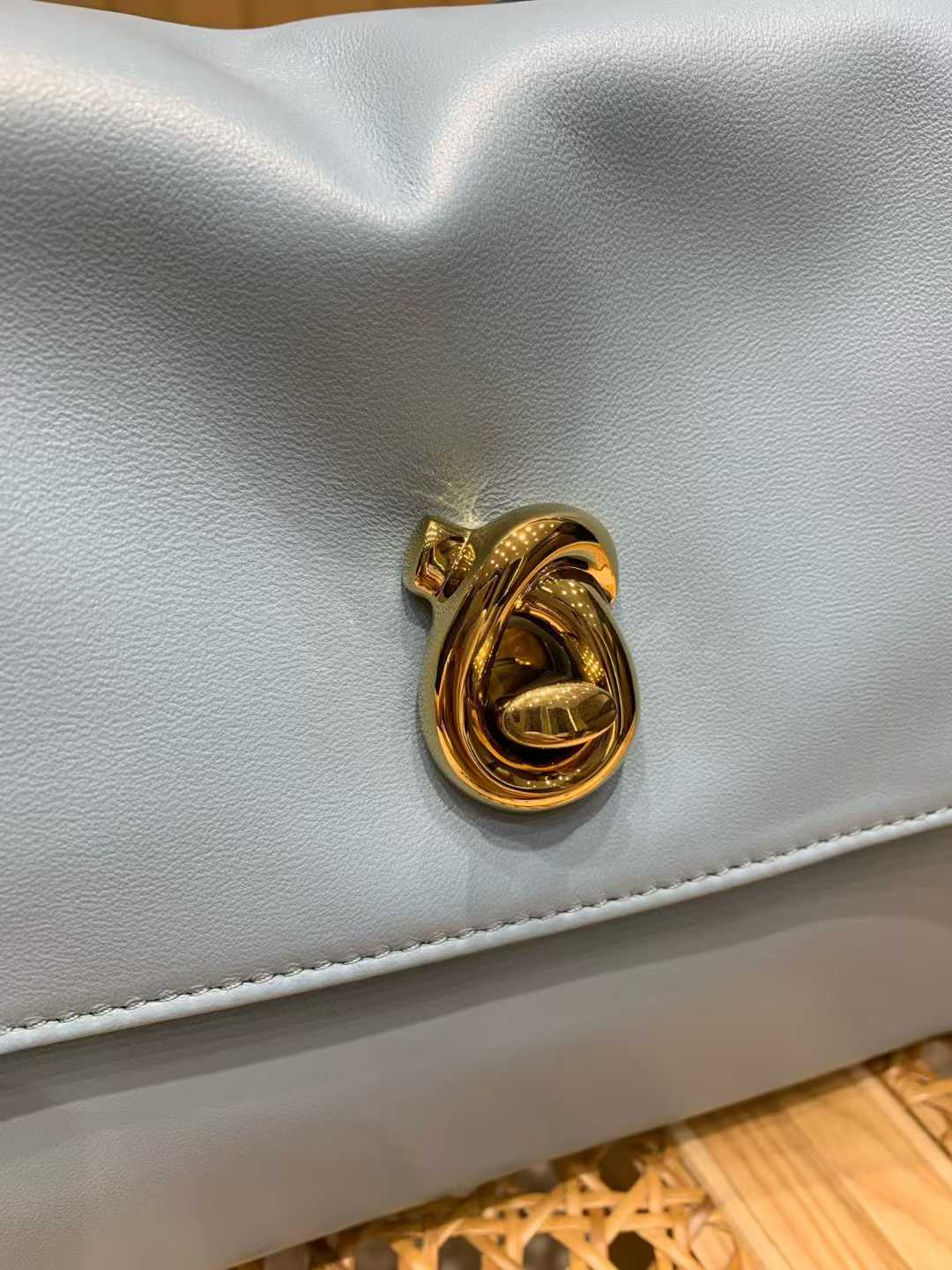Bottega Veneta Madison view 16