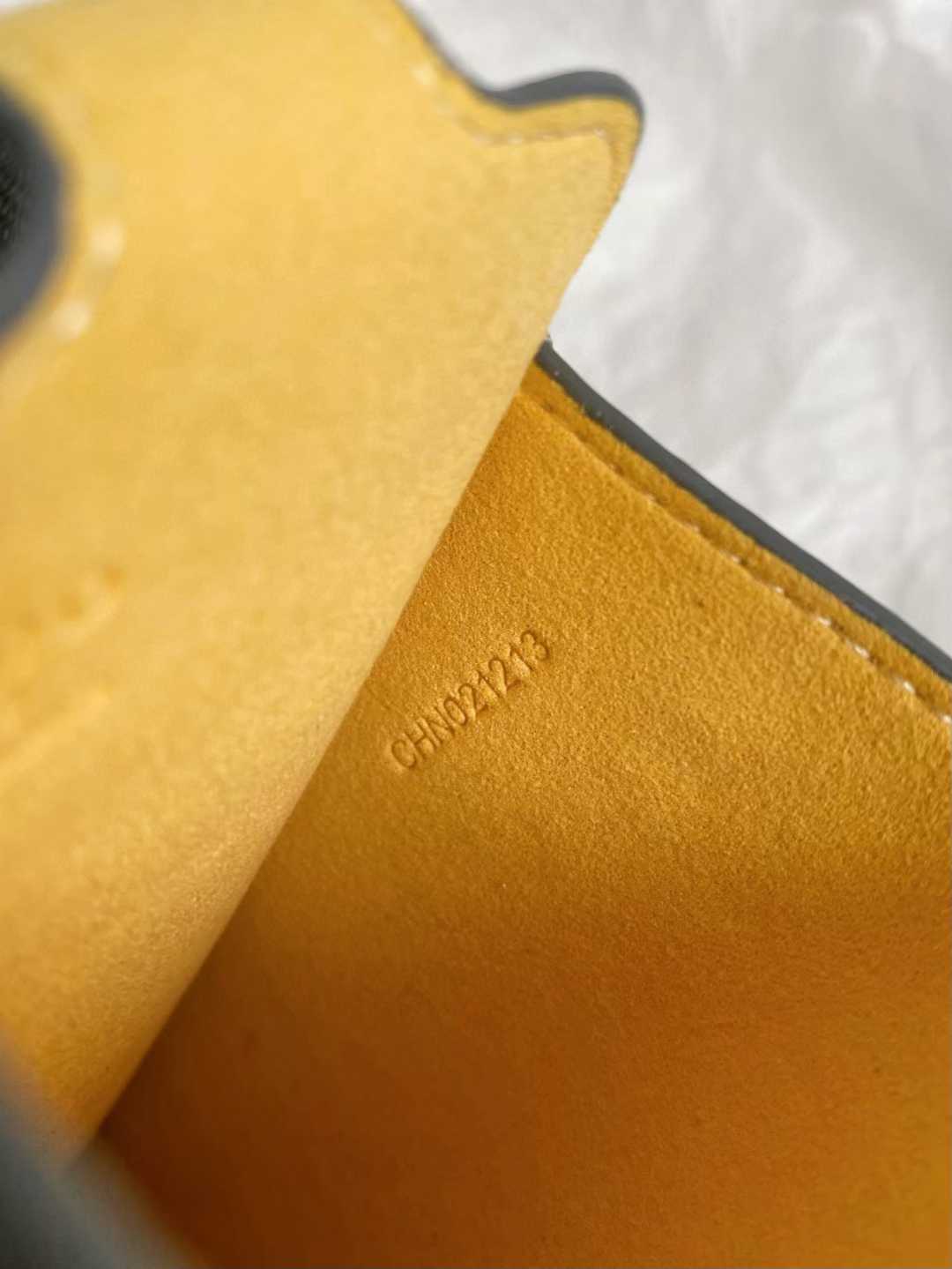 Goyard Mobile bag view 19