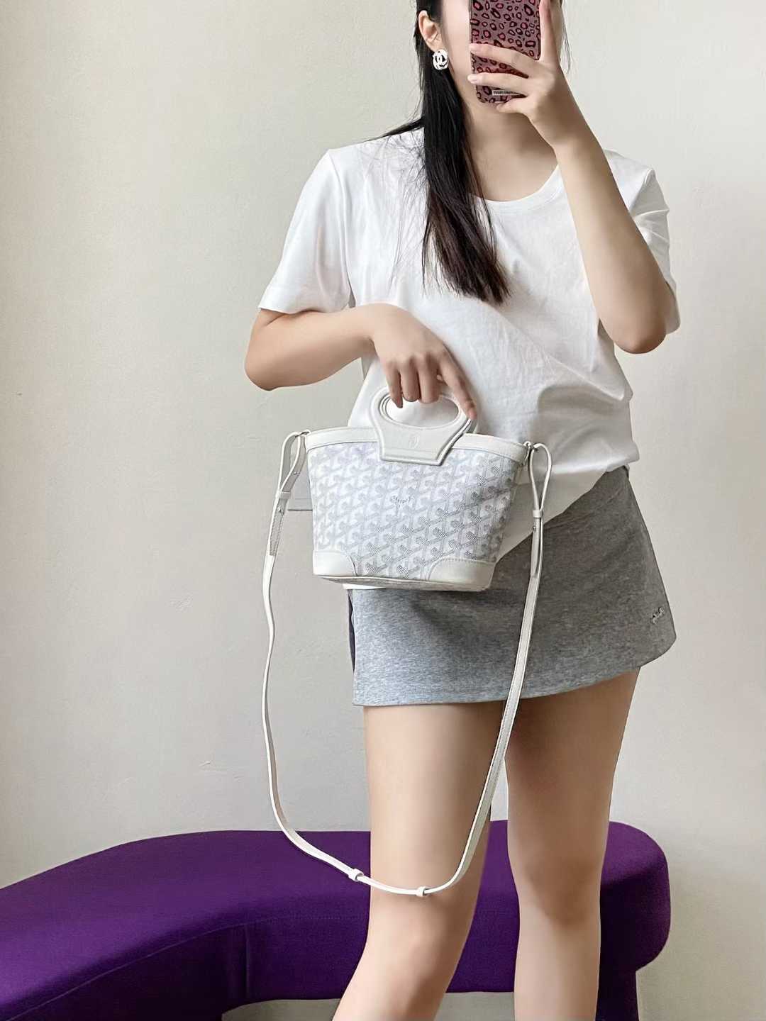 Goyard Beluga Mini Bag view 9