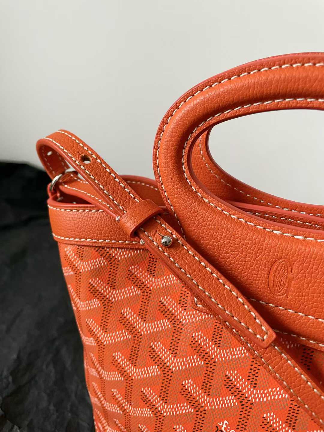 Goyard Beluga Mini Bag view 6
