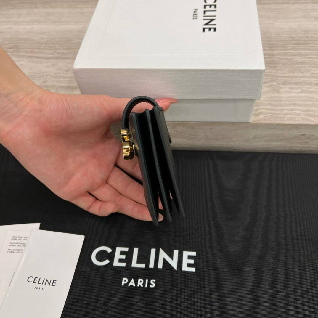 Celine Accordeon Card Holder Nino In Supple Grained Calfskin view 4