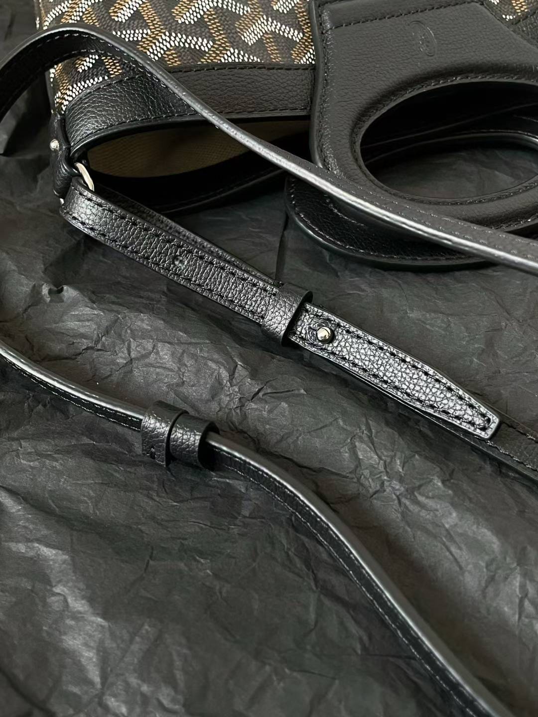 Goyard Beluga Mini Bag view 9