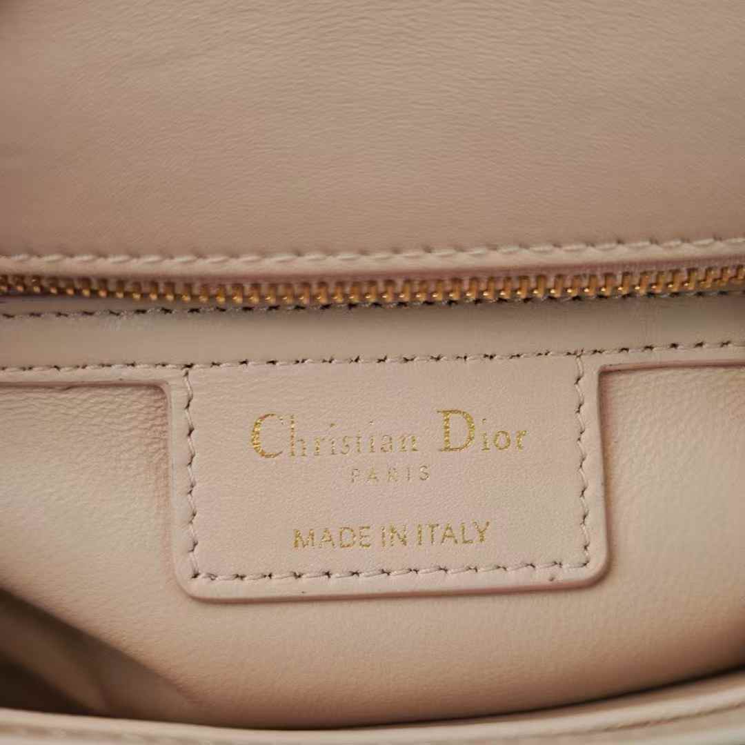 Dior Soft Caro Bag view 8