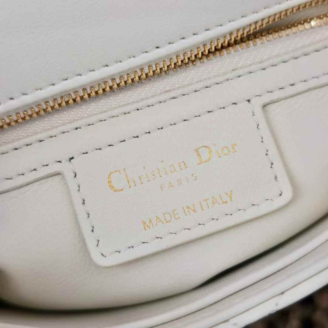 Dior Soft Caro Bag view 8