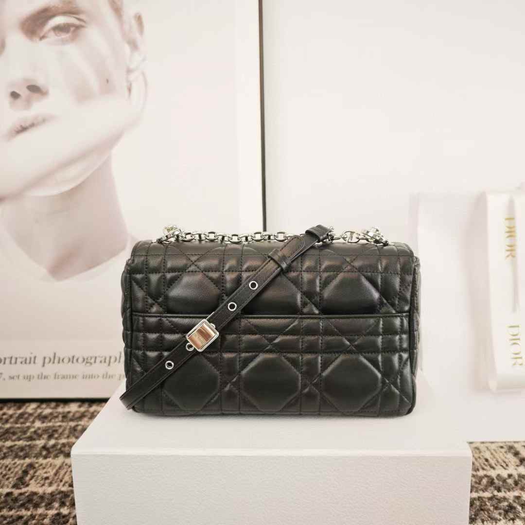 Dior Soft Caro Bag view 2