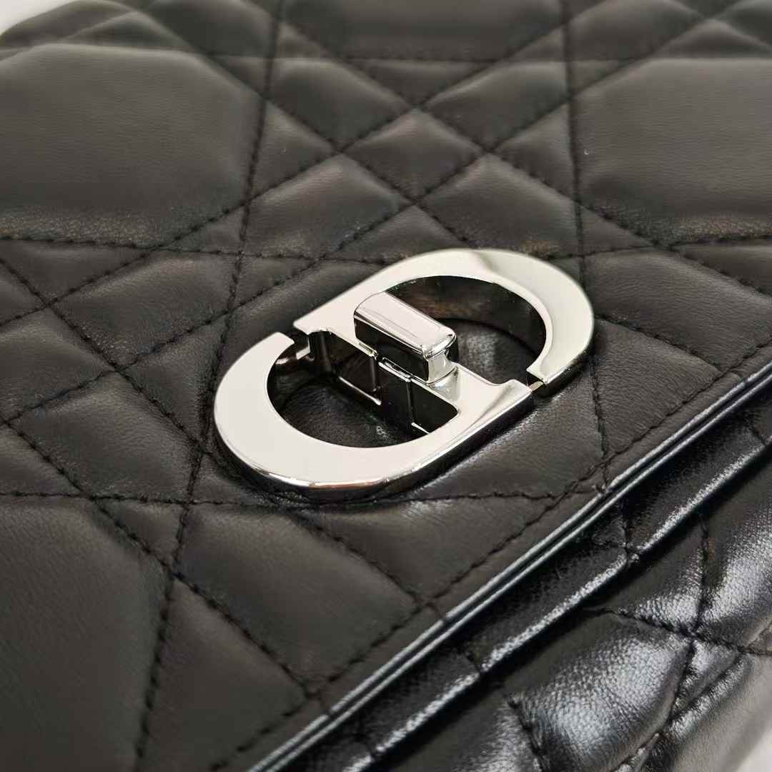 Dior Soft Caro Bag view 5