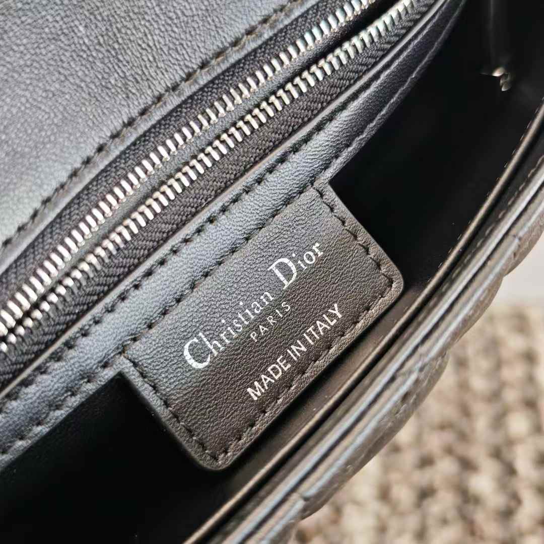 Dior Soft Caro Bag view 9