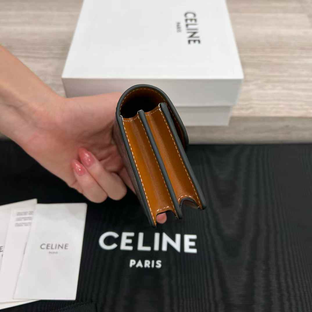 Celine Business Card Holder Triomphe In Shiny Calfskin view 6