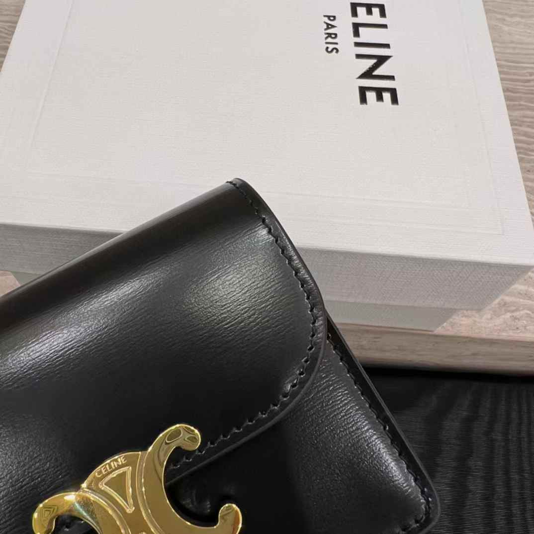 Celine Business Card Holder Triomphe In Shiny Calfskin view 9