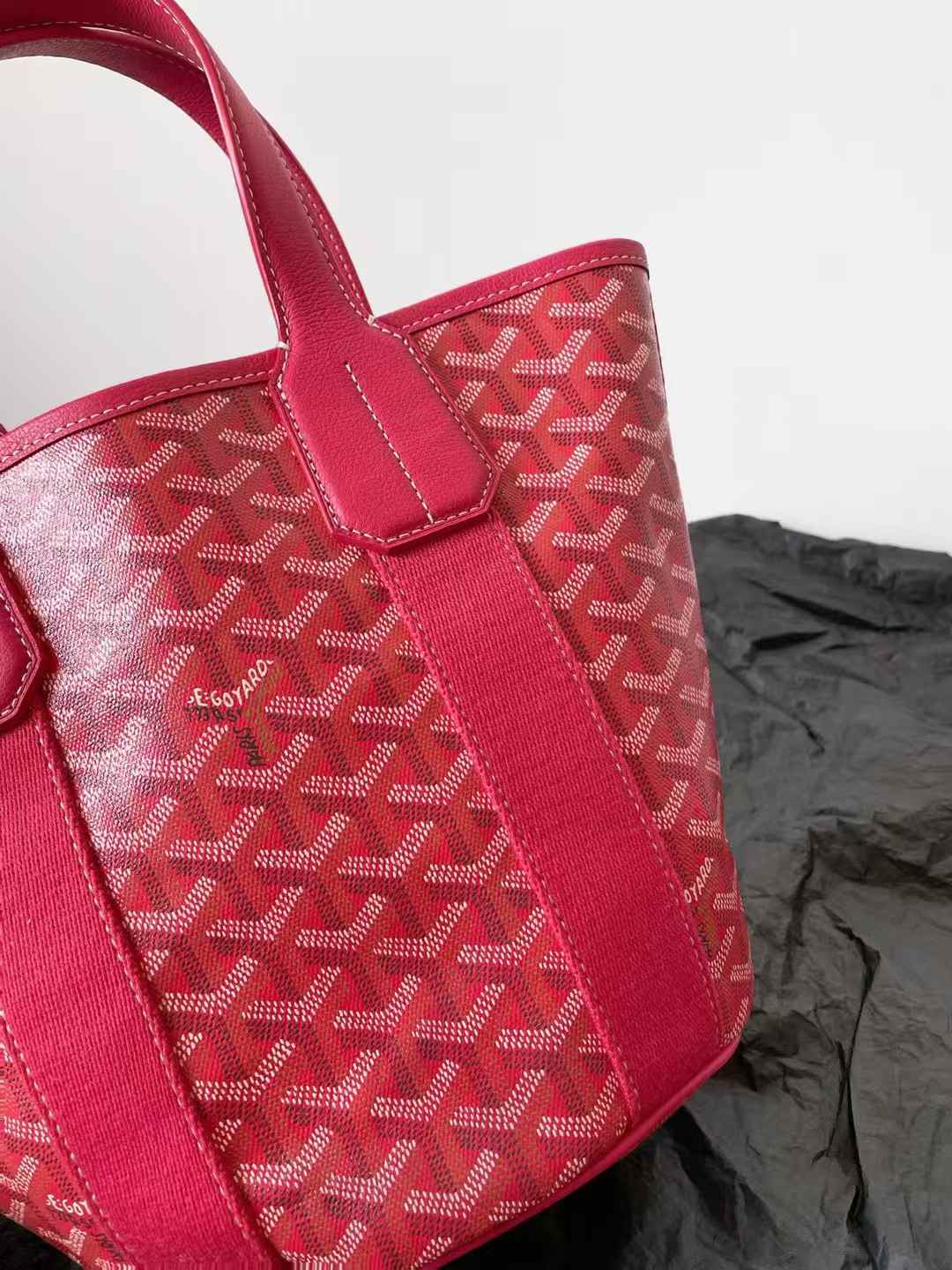 Goyard Belharra Bag view 4